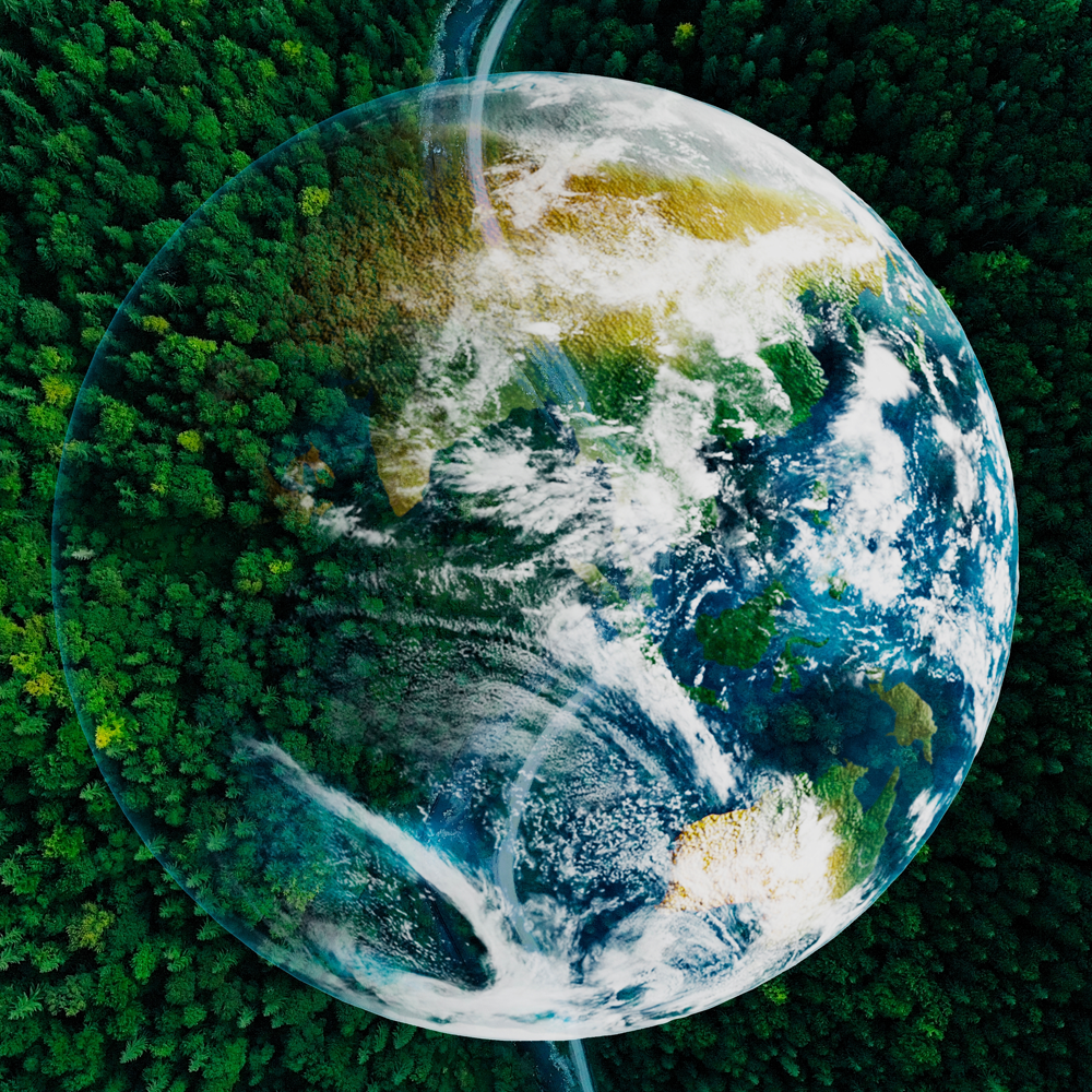 <p>PROTECTING OUR ENVIRONMENT</p>